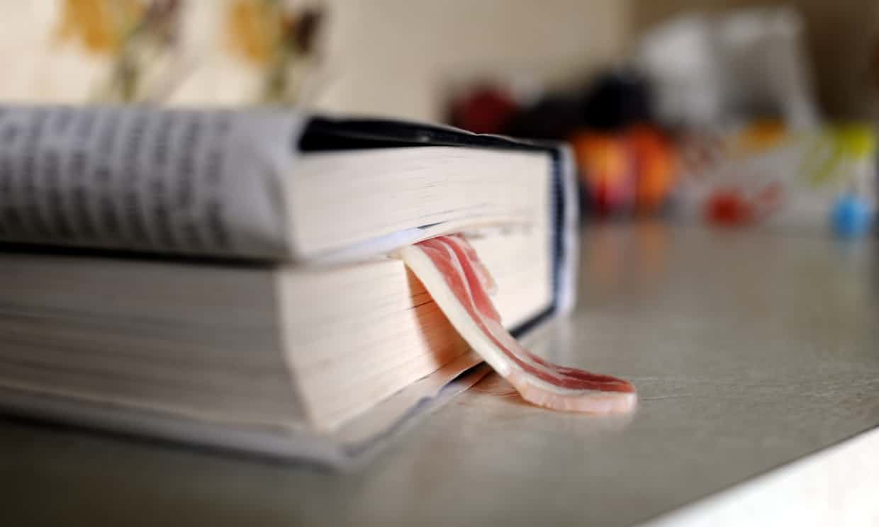 Bacon, Cheese Slices and Sawblades: the Strangest Bookmarks Left at Libraries 