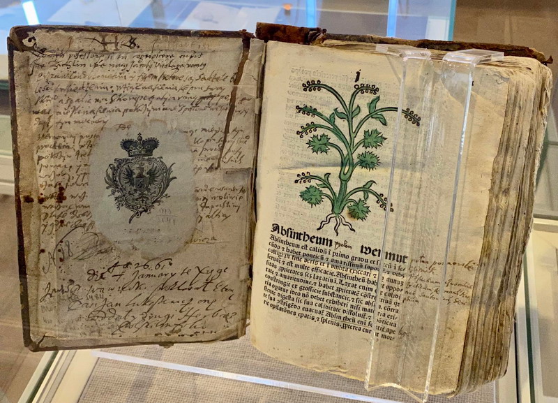 Приглашаем на музейное занятие «Тайны старопечатных изданий: исследуем и изучаем гербарии»