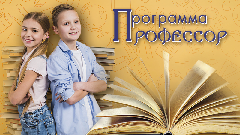 Программа «Профессор»