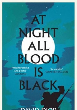 40-david-diop---at-night-all-blood-is-black-cover_195.jpg