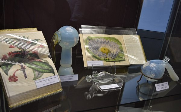 Выставка «Шесть веков истории медицины и фармации в раритетах Национальной библиотеки Беларуси» продлена до конца июля